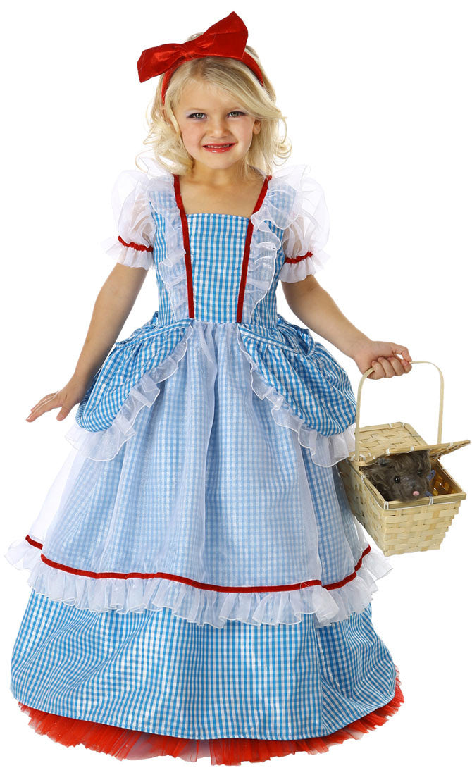 Wizard of oz DOROTHY COSTUME Child Size 10 / Blue Wizard of oz DOROTHY COSTUME Child Size 10 / Blue