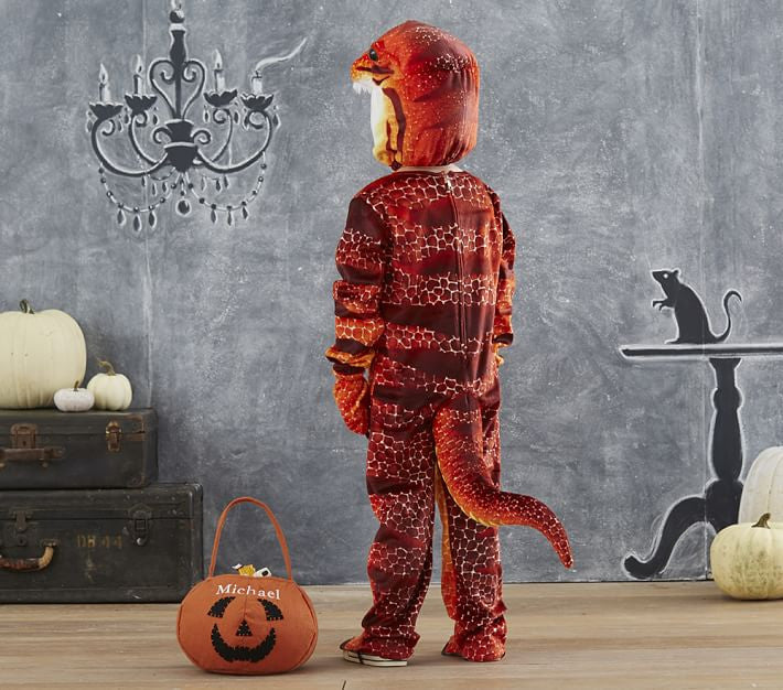 PitaPat Dino Halloween Costume - PitaPats.com